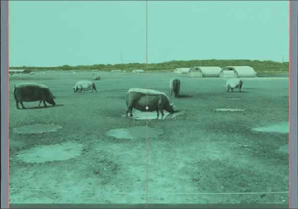 جان استارک جان استارک