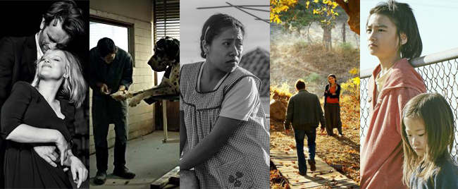 نامزدهای اسکار غیرانگیسی زبان 2019